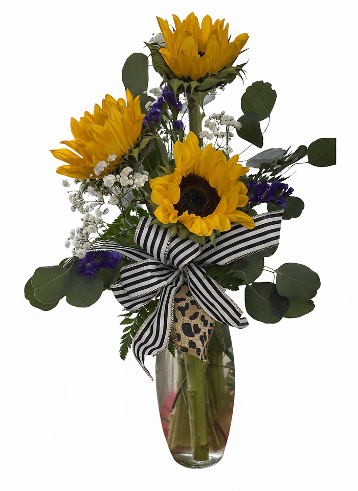 Three Amigos of sunflowers